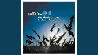 The Fields of Love (York Dub)