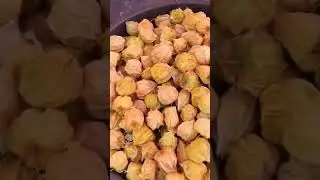 Gooseberry #travelvlog #beautyofnature #mahabaleshwar #berry #gooseberries ❤️
