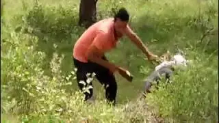 WHATSAPP indian FUNNY VIDEOS 2017 | whatsapp indian comedy video CLIPS 2017 | FUNNY COMEDY