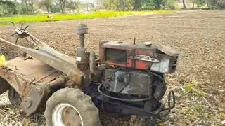 भाजीपाला शेत I vegetables farm #शेतकरी #nature360 #किसान #village #💪 #vegetables