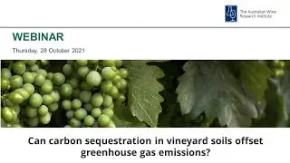 Can carbon sequestration in vineyard soils offset greenhouse gas emissions?