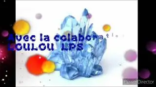 Le videur