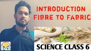 Fibre to Fabric - Introduction || Science || Class 6 || Part 1