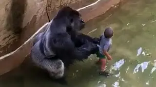 Unbelievable Animals That Saved People's Lives