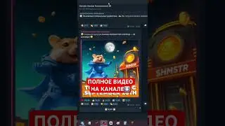ЛИСТИНГ ХАМСТЕР КОМБАТ