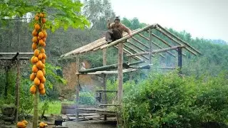 How I Plan to Build a House on $1,000 Land (Step by Step)