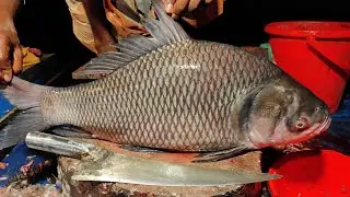 Fish Cutting Full Process | Professional Knife Skills