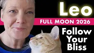 Tarot Reading & Solar Plexus Mandala Art | Leo Full Moon 2026 | Follow Your Bliss