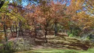 Caponi Art Park Oct 2016