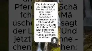 #LustigeWitze #WitzeDesTages #HumorPur