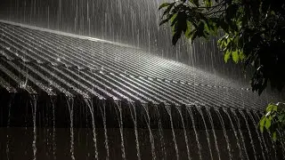 Soothing Rainstorm on Tin Roof 🌧️ Natural Sleep Aid & Relaxation Ambience #15
