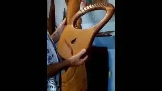 Lyre with sound box