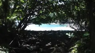20100812 103559