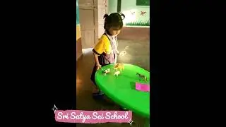 Learning Directions with Animals #Sri Satya Sai School