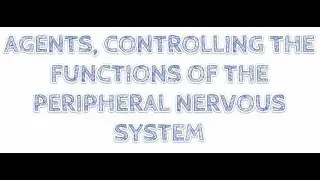 Peripheral Nervous System