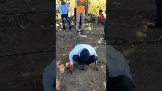 ground water finding with coconut#water #borewell  #truck #shortsvideo
