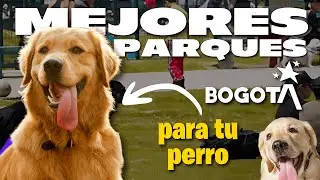 🐶 MEJORES parques para tu PERRO en BOGOT&Aacute; | @culturacaninaco
