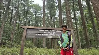 Bass River State Forest (CCC Loop)