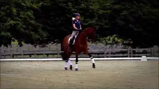 Light it up|| Dressage Vs Show Jumping Music Video