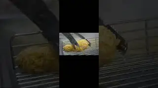 Yummyboy Pollo