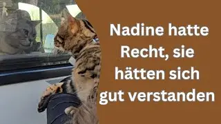 Cosmo und Bali haben sich kennengelernt