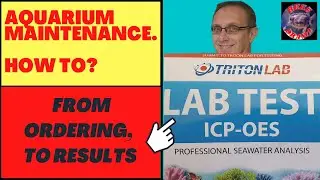 ICP testing: Everything You Need to Know Before You Buy It