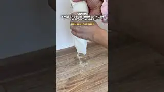 Уход за 15-ти летним шпицем