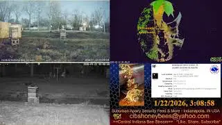 2026/1/22 Back Yard Cam - Weather - Bee Hives - Security Feed - Indianapolis, IN USA