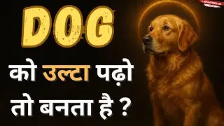 DOG को उल्टा पढ़ो&hellip; तो बनता है GOD @motivationaldr.