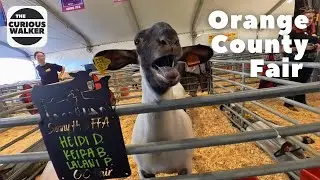 Orange County Fair Walking Tour | California