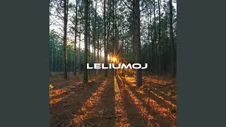 Leliumoj