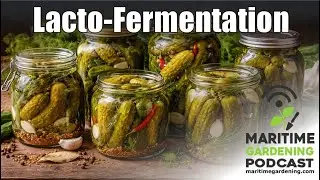 MGP E44: Lacto-fermentation