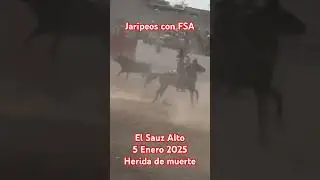 Tremenda salida del toro alcaza a caballo en el Sauz Alto #jaripeos #toros #caballos