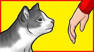 Do Cats Miss Us When We Leave the House?