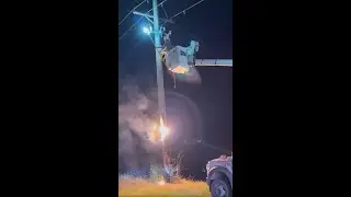 Raccoons cause utility pole fire in southern Illinois