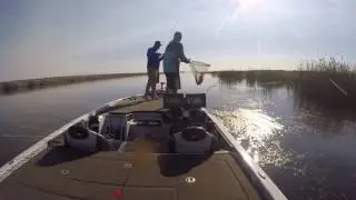 Ca delta July bass tourney winning