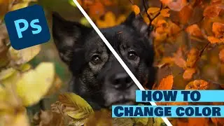 Transforming Green Leaves to Autumn Colors in Dog Photo! 🍂 Photoshop Magic