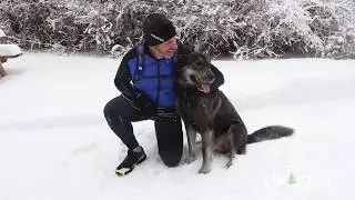 Salomon Speedspike