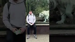 Сидя перед тигром-альбиносом 😱 (фото beth.wheatland13)