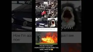 The Dankest Memes Pt 2. #dankestmemes #dankmemes #memes #ylyl