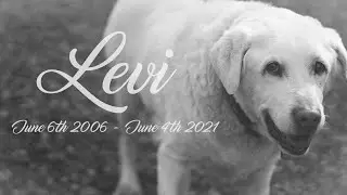Levi the dog memorial