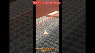 Cutting-edge laser scanning pin system:easy operation, precise positioning, 3D effect, time-saving👍👍