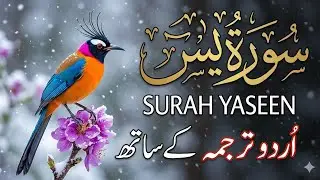 World&rsquo;s Most Beautiful Recitation of Surah Yasin | Urdu Translation By Qari mansoor ghaznavi