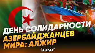 Интервью с главой координационного совета азербайджанцев в Алжире Хумар Набиевой - Baku TV | RU