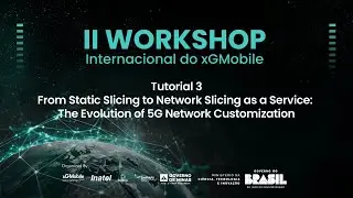From Static Slicing to Network Slicing as a Service:The Evolution of 5G Network Customization