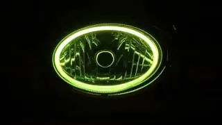 Duff Tuff Early Bronco Halo LED Headlights