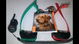 Programming A Sport Dog Transmitter for 2 Collars