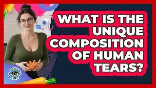 What Is The Unique Composition Of Human Tears? - Eye Health Experts