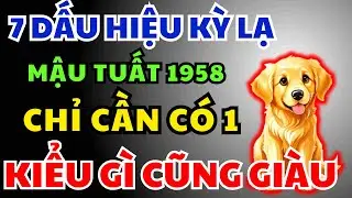 Mậu Tuất 1958 có Phước Đức, Hậu vận Giàu Sang Tự đến, Chỉ Cần Nhìn 7 Dấu Hiệu Này Là Biết Ngay