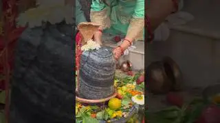 Shiv ka sawan #today #explore #shorts #ytshorts